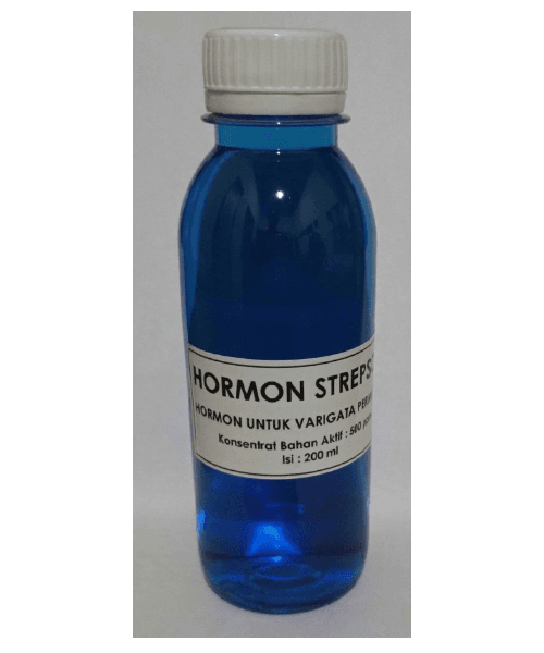 Hormone Strepsone at Tokopedia