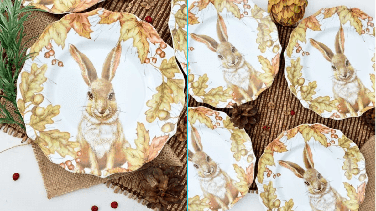 S4 Salad Plate – Mazey Chloe The Jack Rabbit